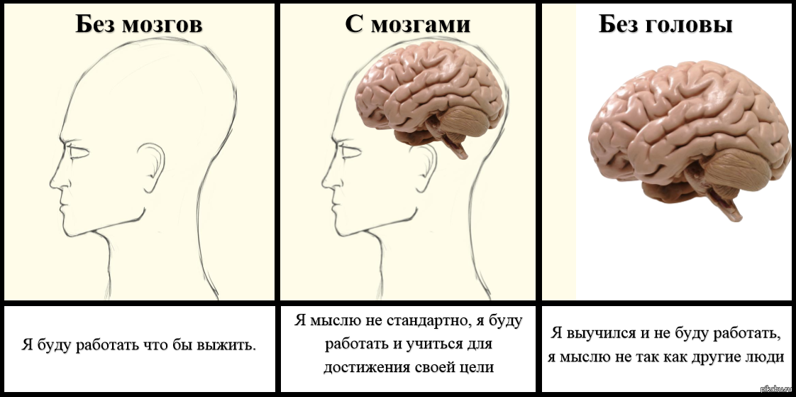 Мозг запоминает звуки лучше чем картинки правда или ложь