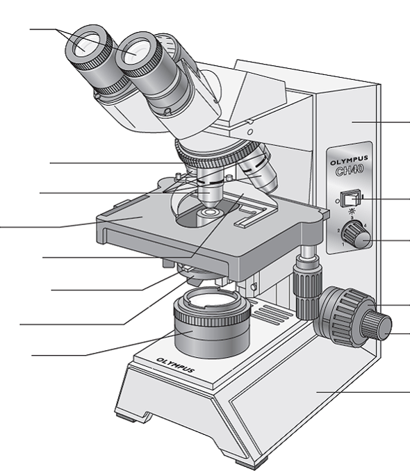 Строение микроскопа Микмед. Бинокулярный микроскоп строение. Строение бинокулярного микроскопа схема. Рисунок схема микроскоп Микмед-5.