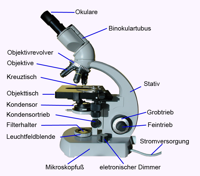Какая часть цифрового микроскопа обозначена буквой а. Алтион микроскоп ам-6000. Биолам 70 микроскоп его части. Микроскоп Биолам строение. Строение микроскопа МБР 9.