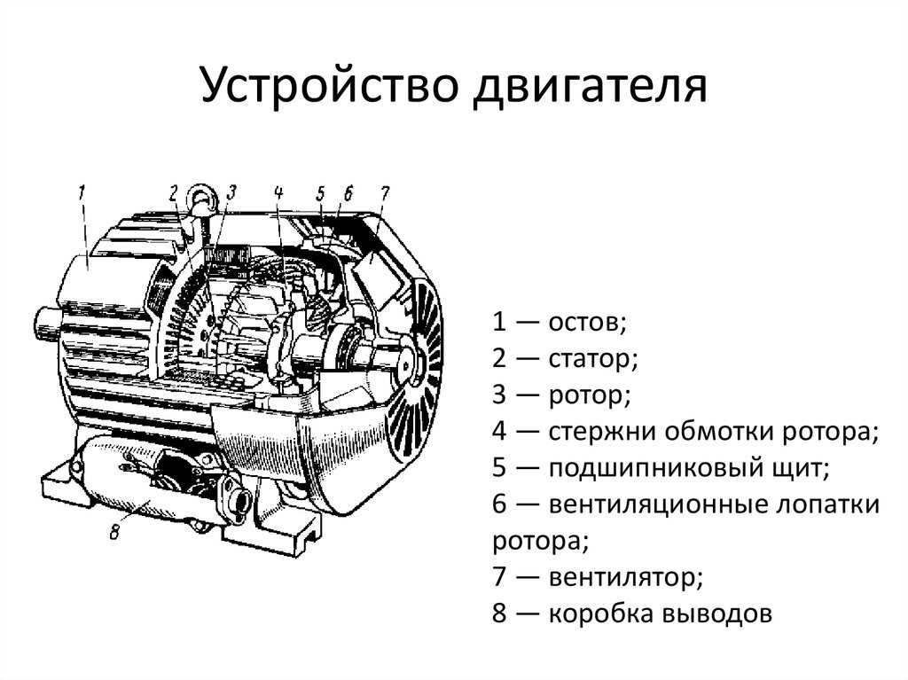 Схема устройства электродвигателя