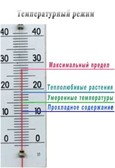 Комнатная температура жидкости. Температурный режим растений. Температурный режим для комнатных растений. Оптимальная температура для растений. Соблюдение теплового режима.