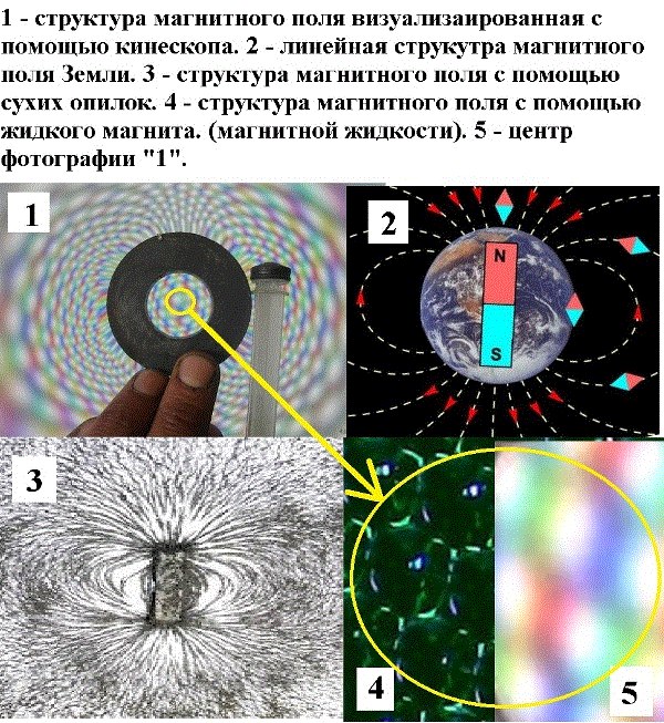 Ученик получил фотографии на которых изображены картины линий магнитного поля