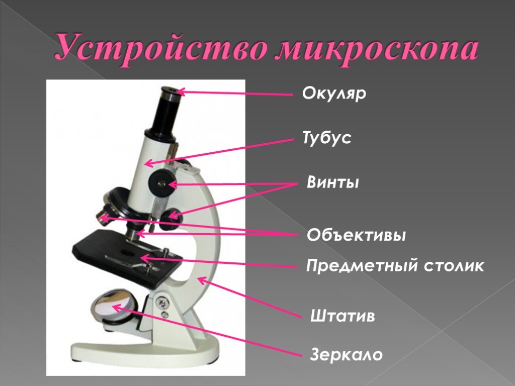 Презентация про микроскоп физика