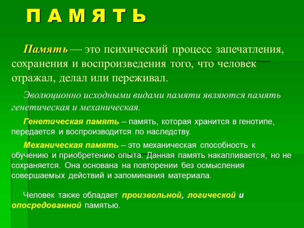 Презентация на тему память по анатомии