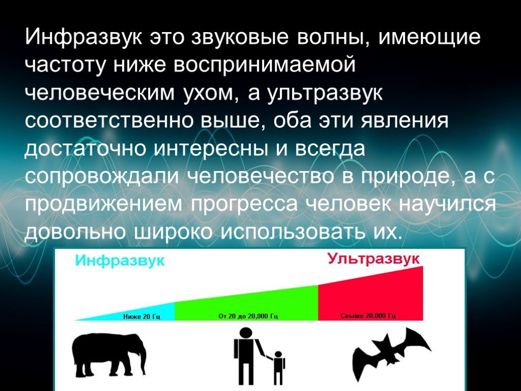 Сообщение на тему ультразвук и инфразвук. Инфразвук. Ультразвук и инфразвук. Инфразвук примеры. Звуковые волны в природе.