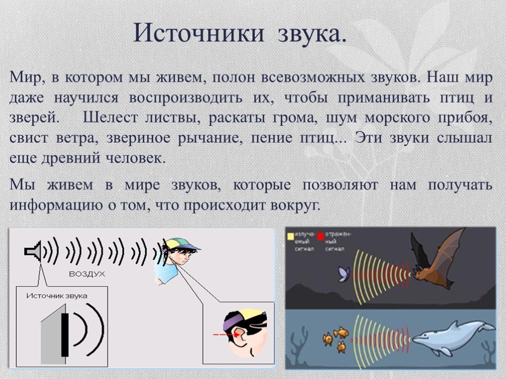 Источник звука. Источники звука. Источники звука необычные. Источник звука это в физике. Источники звуковых волн в физике.