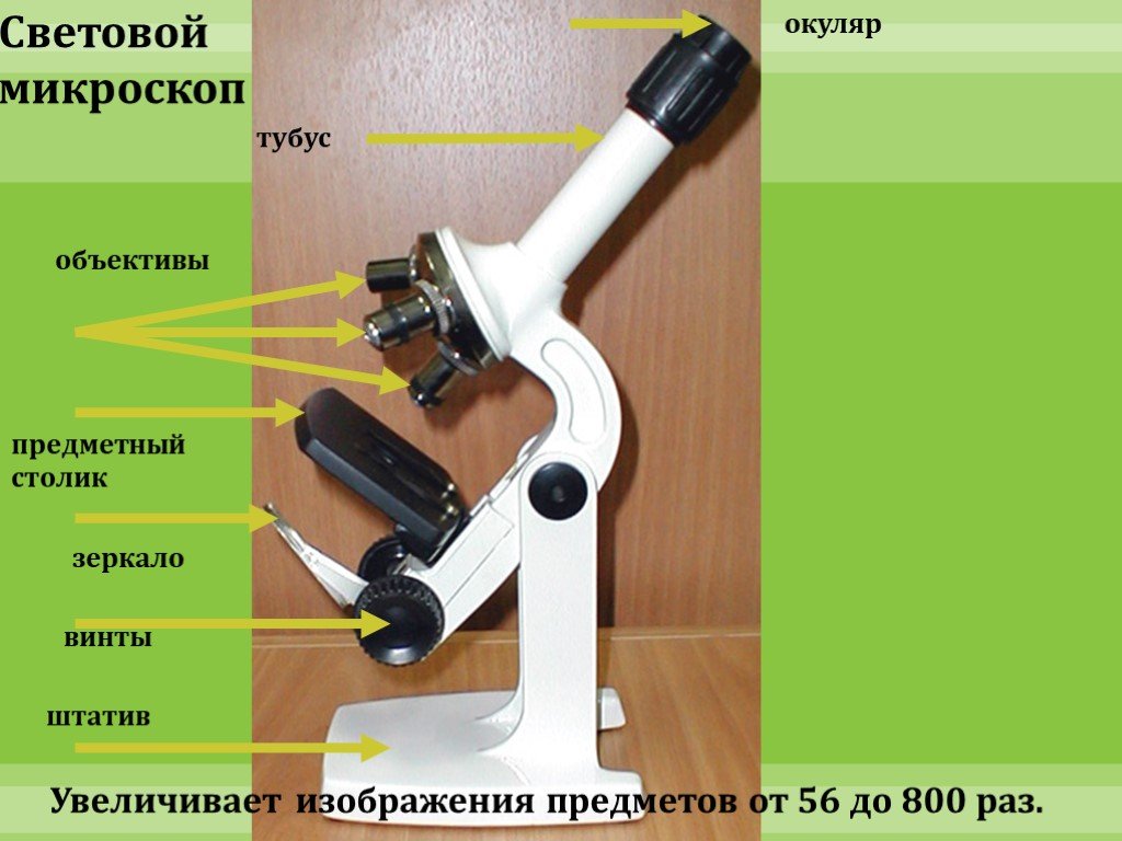 Окуляр увеличивает изображение