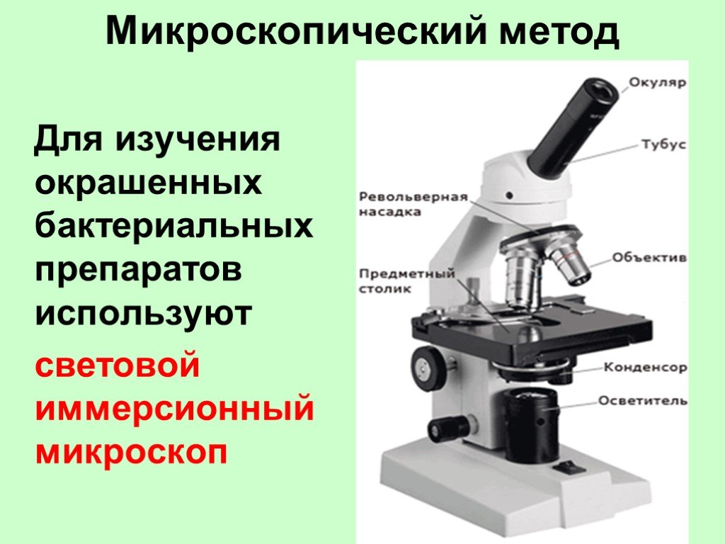 Суть микроскопа. Микроскоп (с иммерсионным объективом) XSZ-107bn. Иммерсионная система микроскопа микробиология. Иммерсионный микроскоп строение. Световой иммерсионный микроскоп.