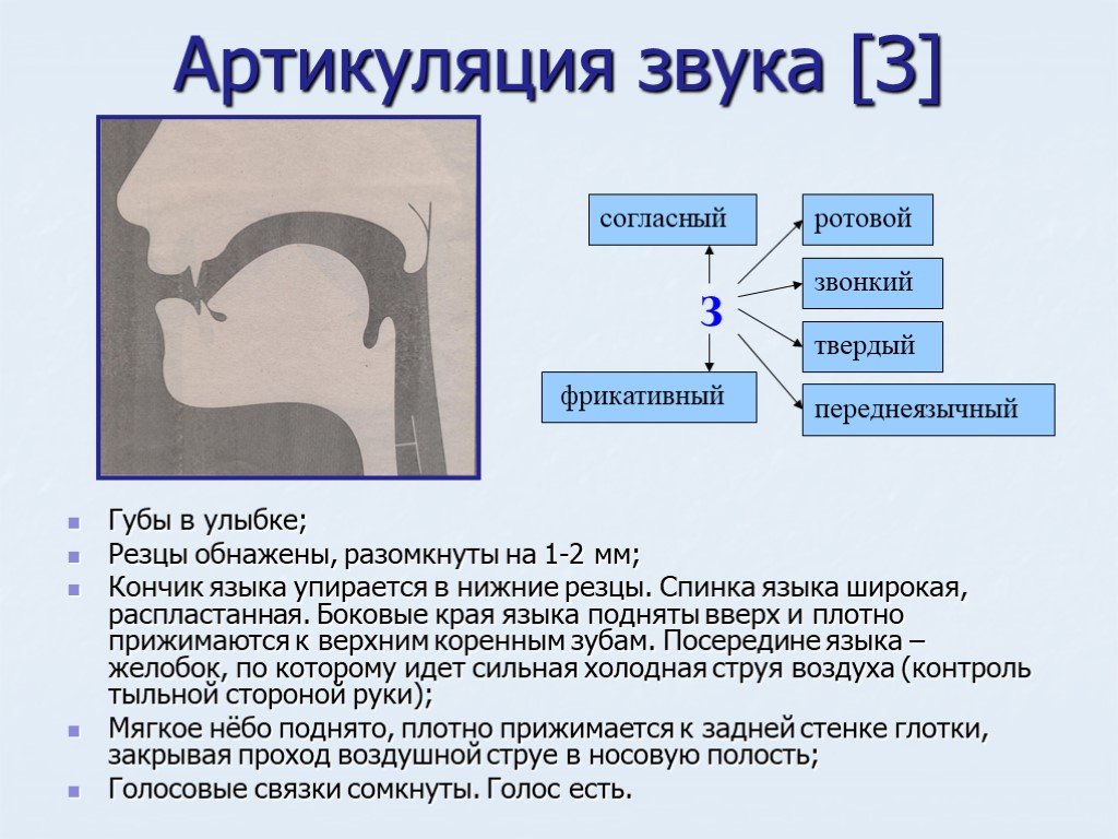 Как называется карта для выведения и восприятия компьютером звуков