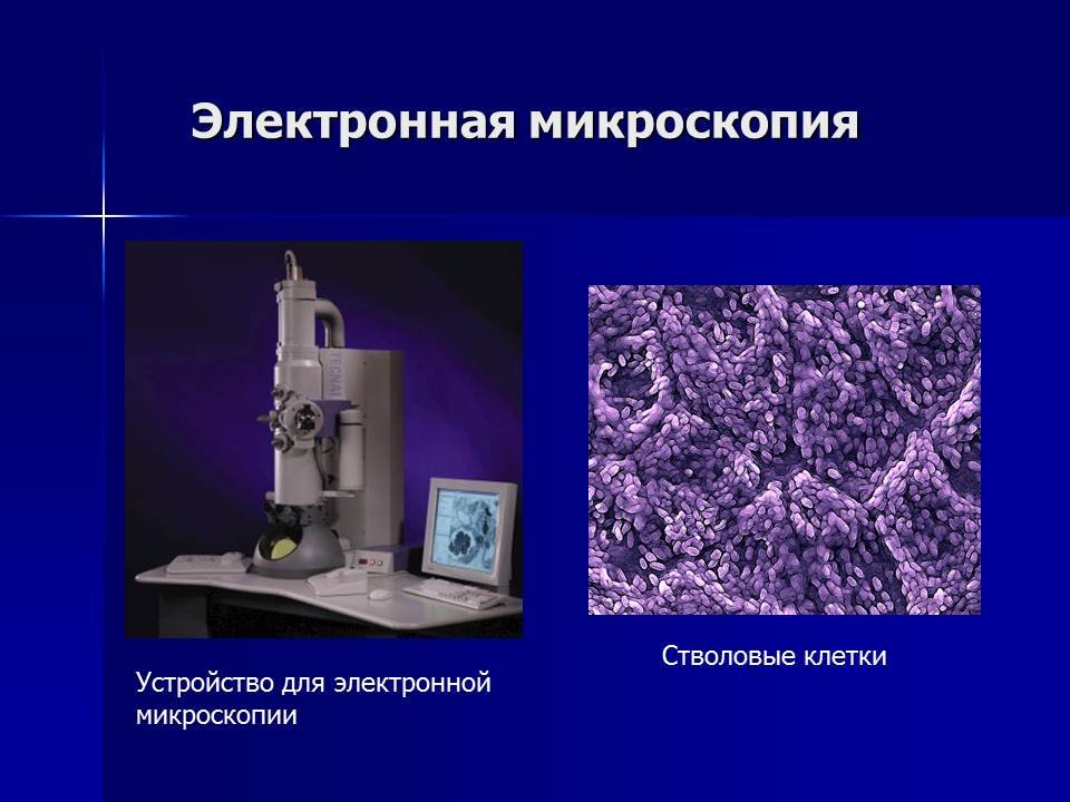 Микроскопией называют метод микроскопии. Электронная микроскопия. Оборудование для электронной микроскопии. Методы электронной микроскопии. Типы электронной микроскопии.