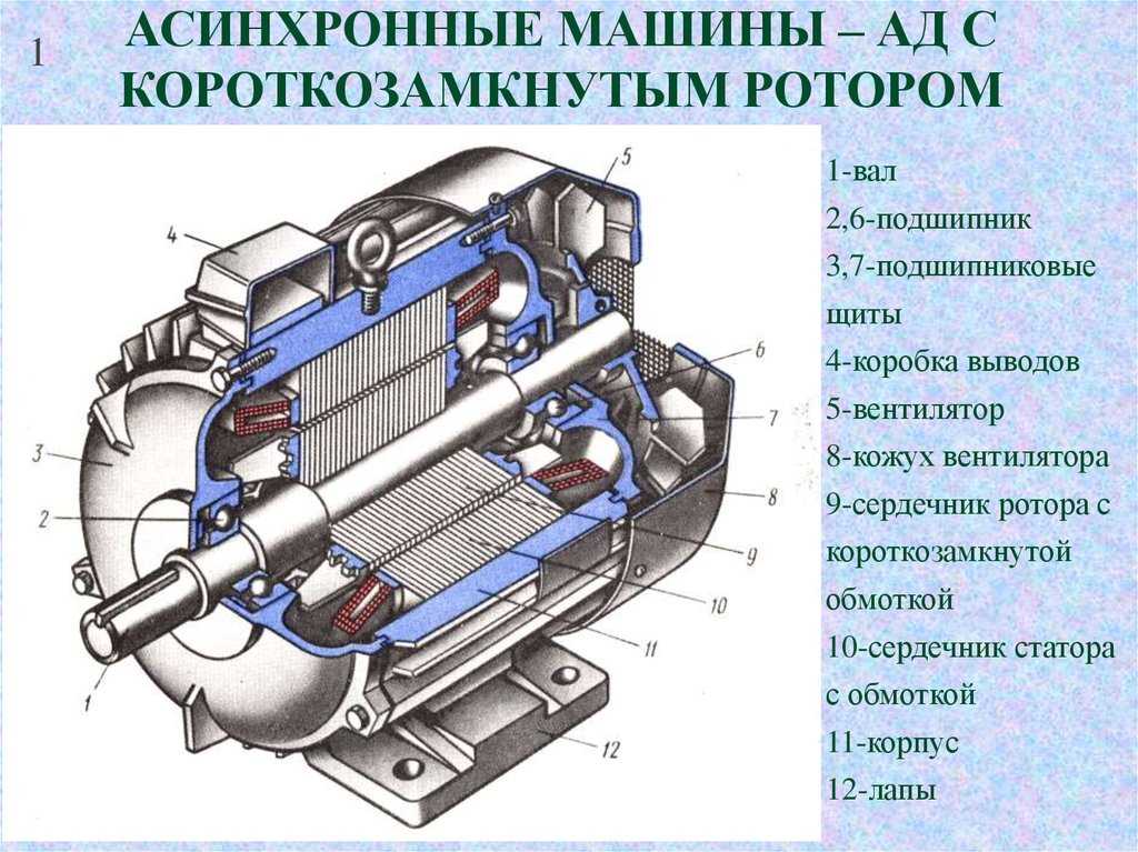 Схема устройства электродвигателя