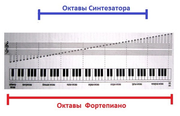 Гагарина сколько октав. Схема синтезатора 1 Октава. Октавы на синтезаторе. Октава фортепиано 2 октавы. Первая Октава на синтезаторе.