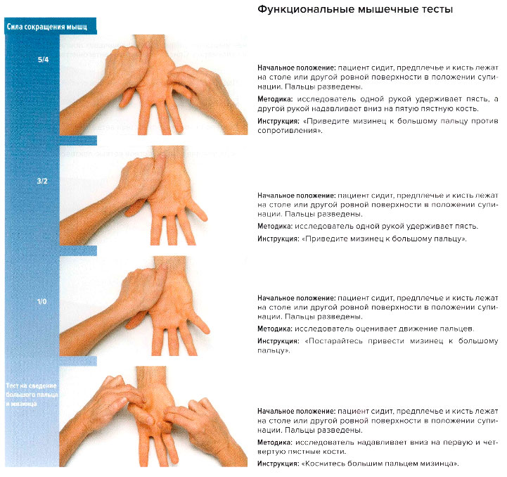 Устройство руки. Мышечный тест. Кинезиологические тесты. Функциональные мышечные тесты. Кинезиология тестирование.