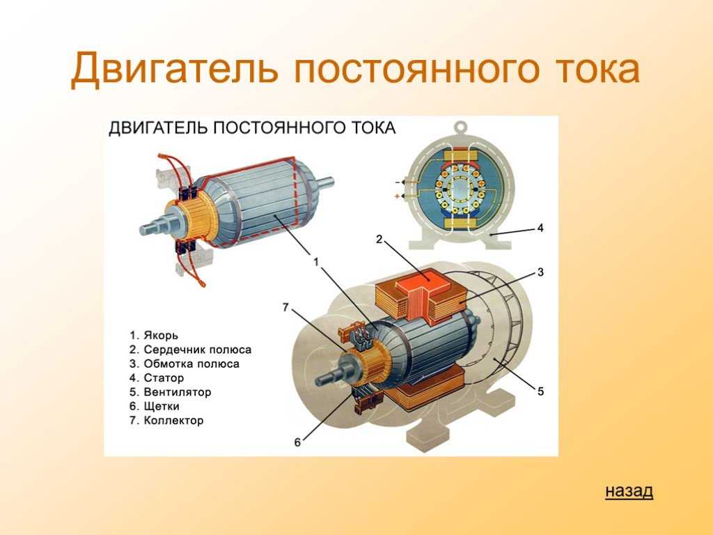 Электродвигатель в разрезе рисунок