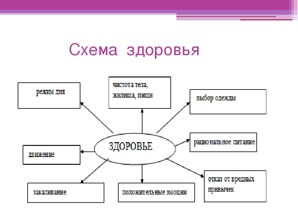 Здоровье человека схема - 88 фото