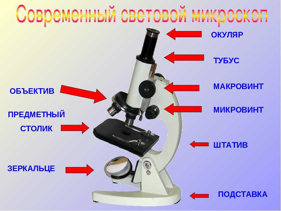 Где находится микро. Строение микроскопа 5 класс макровинт. Строение микроскопа микроскоп световой микроскопа. Строение микроскопа макровинт. Световой микроскоп строение микровинт.