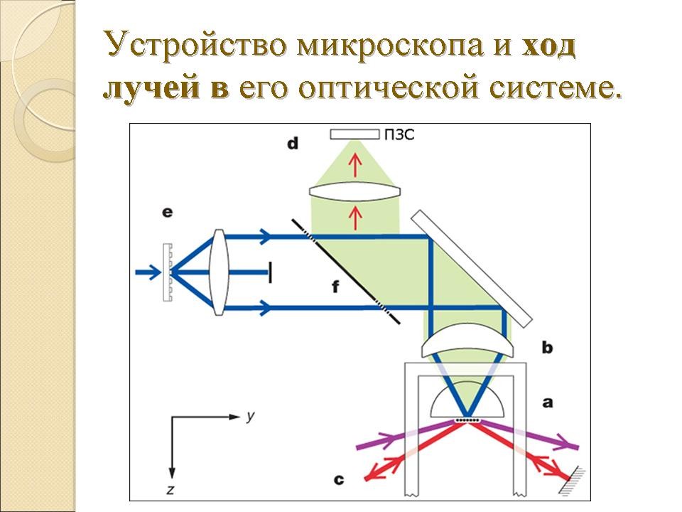 Оптическая схема микроскопа