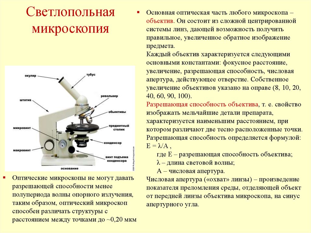 За счет какой детали микроскоп увеличивает изображение