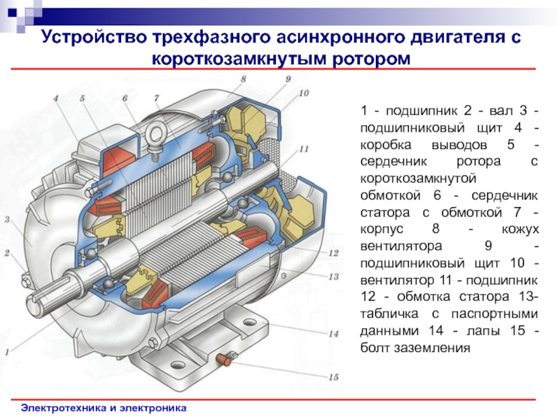 Схемы и способы пуска асинхронных двигателей с короткозамкнутым и фазным ротором