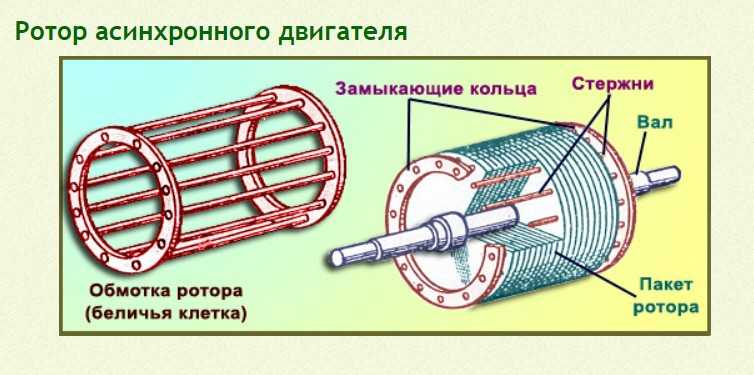 Ротор асинхронного двигателя. Асинхронный двигатель ротор беличья клетка. Беличья клетка асинхронного двигателя. Обмотка ротора беличья клетка. Короткозамкнутый ротор беличья клетка.