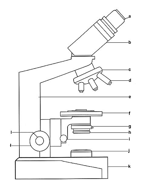 Схема рисунок микроскопа