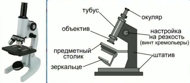 Образец под микроскопом 8