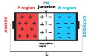 PN junction in state of thermodynamic equilibrium