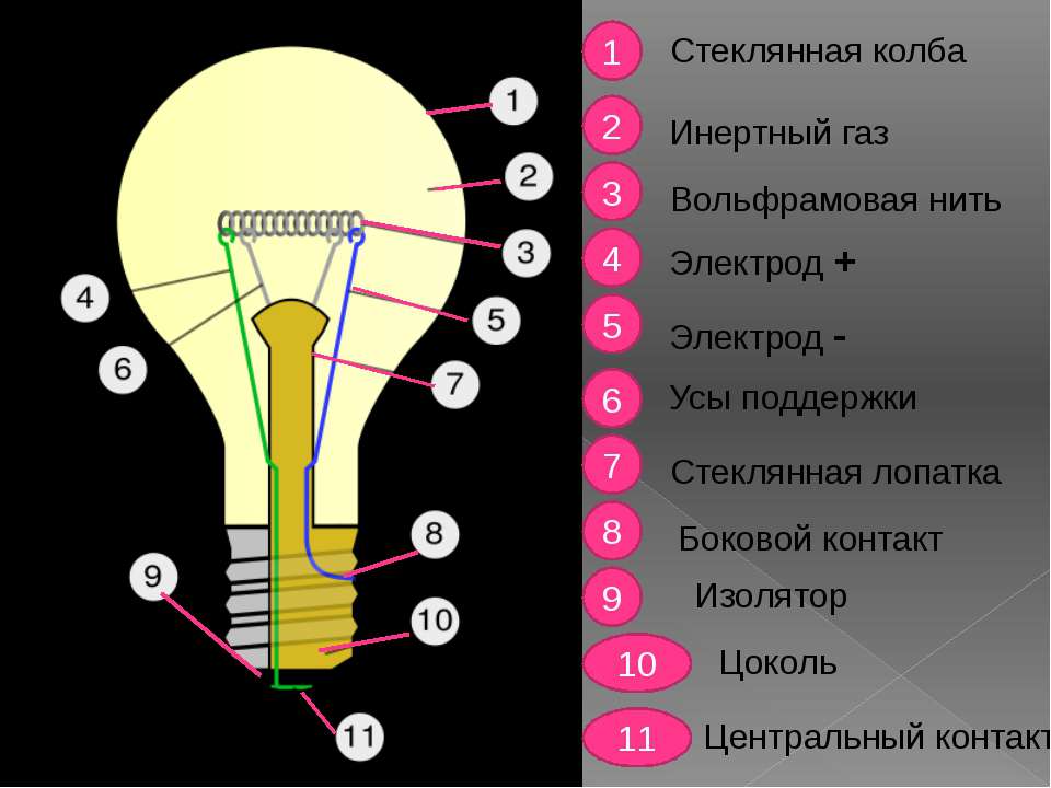 Строение лампочки накаливания: Устройство лампы накаливания | Сайт .