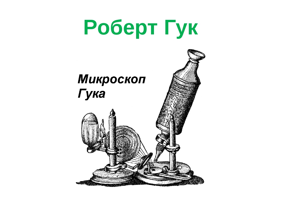 Презентация на тему история микроскопа