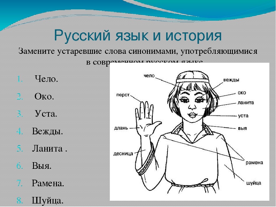 Язык устаревшее значение слова. Старинные слова. Устаревшие слова в русском. Части тела на древнерусском языке. Старорусские устаревшие слова.