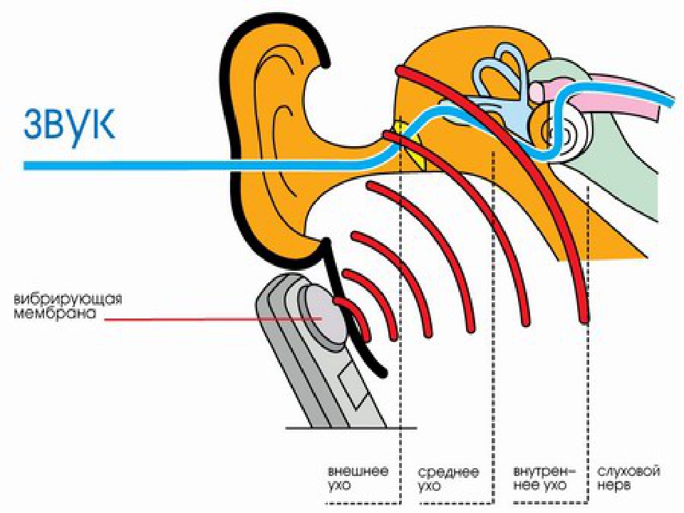 Нагнетающий звук. Звука проведение проведение в ухе. Схема проведения звука. Проведение звука в ухе анатомия. Механизм восприятия слуха.