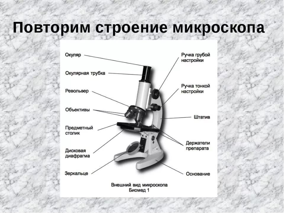 Микроскоп схема с обозначениями