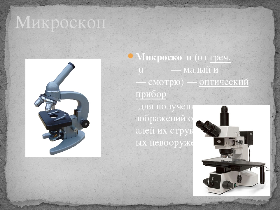 План рассказа микроскоп