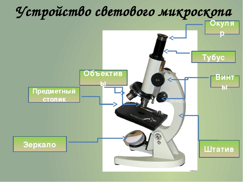 Презентация на тему микроскоп физика