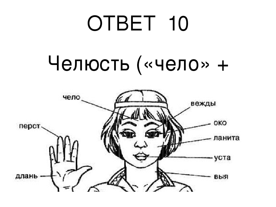 Длань. Чело это устаревшее слово. Ланиты. Ланиты это. Как раньше назывались части тела.