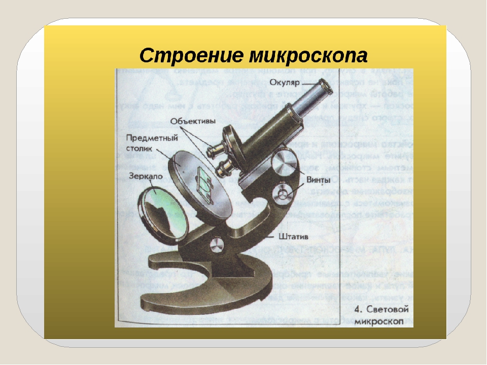 Характеристика изображения в микроскопе