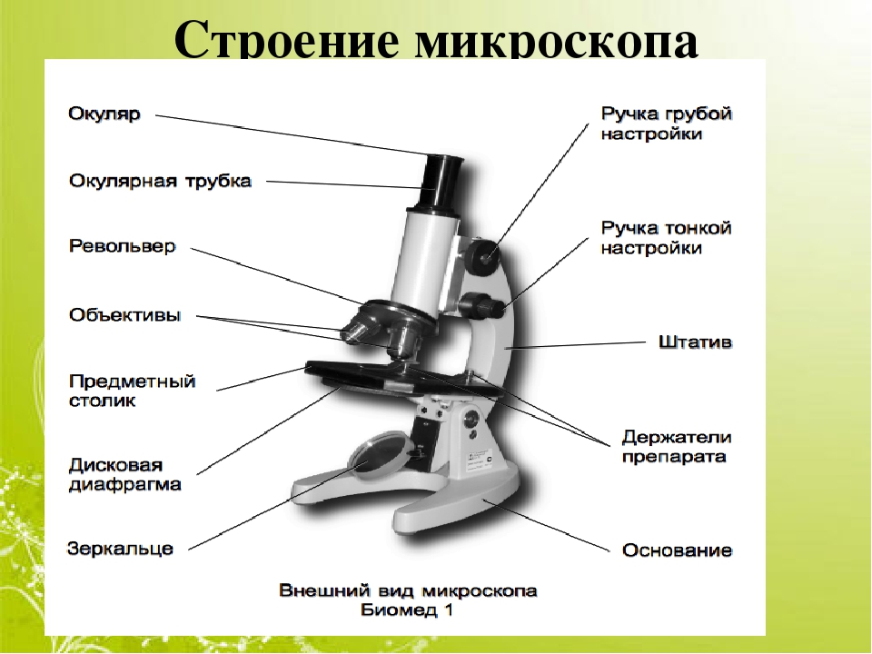 Какую часть работы выполняет объектив. Микроскоп строение микроскопа. Строение микроскопа макровинт. Оптический микроскоп строение. Строение микроскопа Микмед.