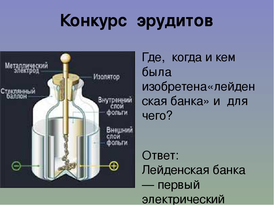 Схема лейденская банка