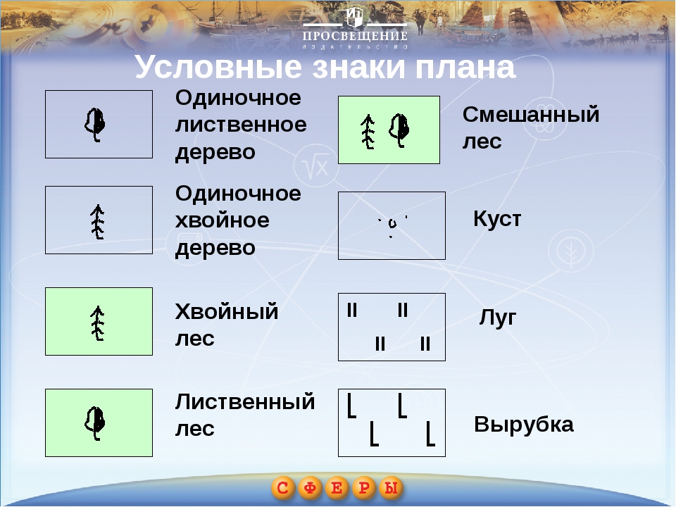 Условные знаки по географии 5. Смешанный лес обозначение на топографической карте. Географические знаки. Условные знаки география. Условные знаки погеографие.