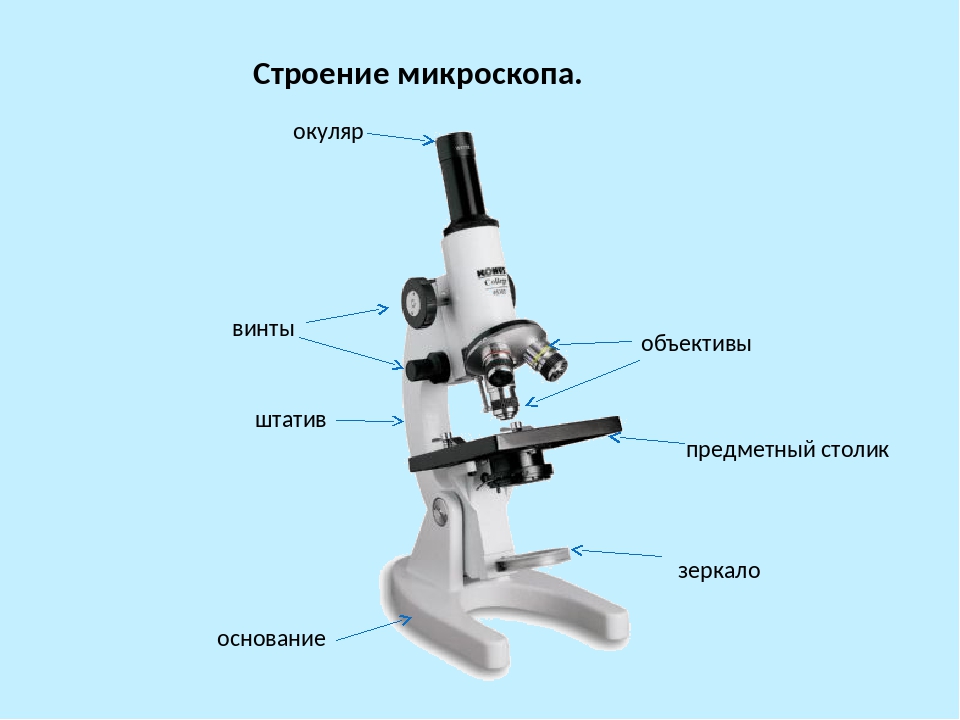 Микроскоп схема с обозначениями