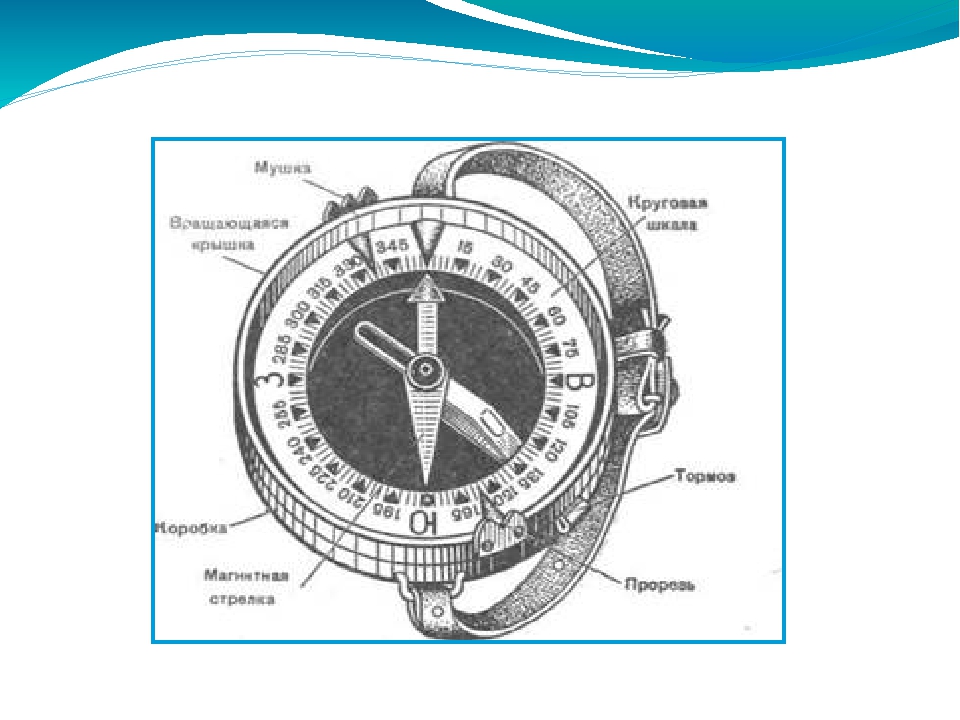 Строение компаса рисунок