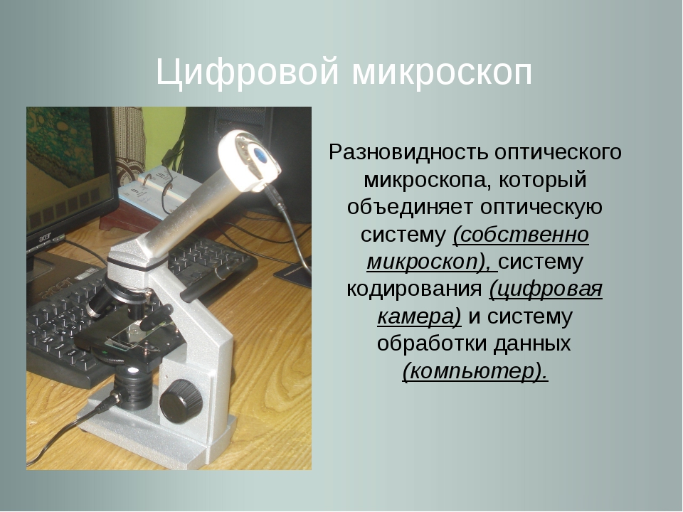 Отличительной особенностью цифрового микроскопа является возможность получения реального изображения