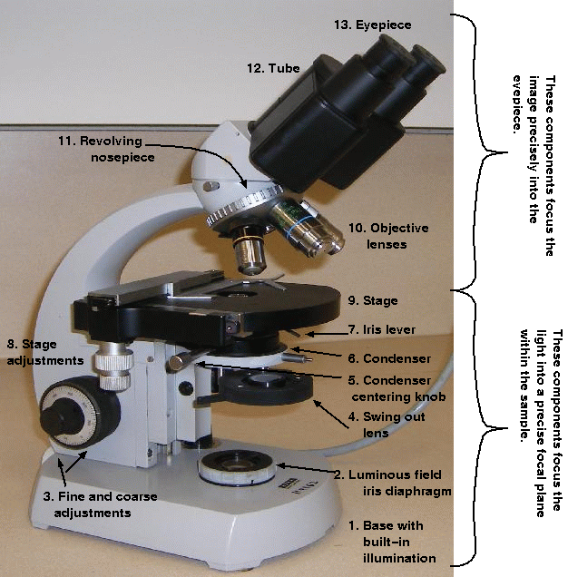Функция револьвера в микроскопе. Строение микроскопа конденсор. Конденсор и диафрагма микроскопа. Конденсор оптического микроскопа. Строение микроскопа конденсор диафрагма.