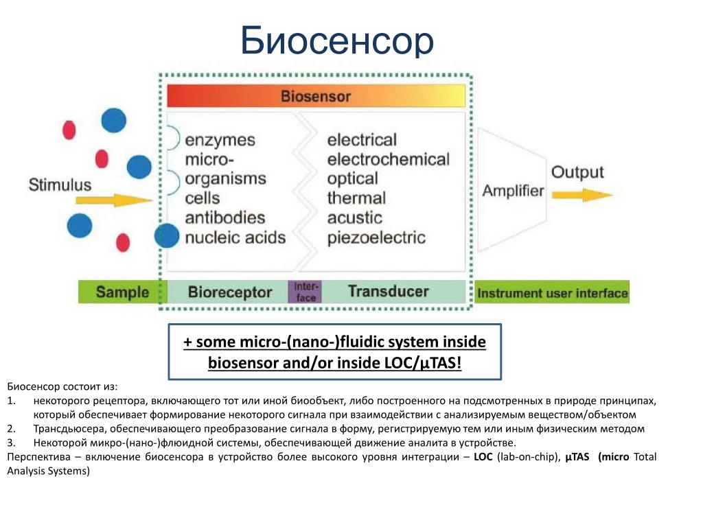 Биосенсоры для мониторинга презентация