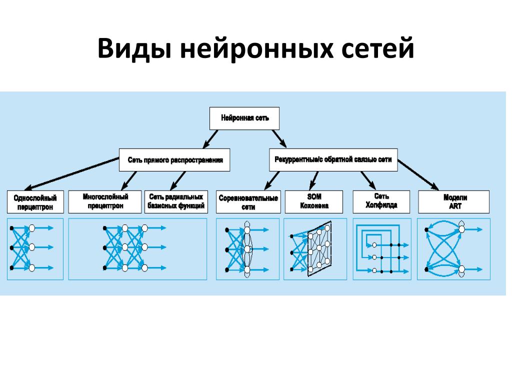 Виды сетей картинки