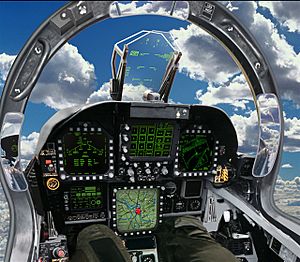 F-18E cockpit m02006112600499