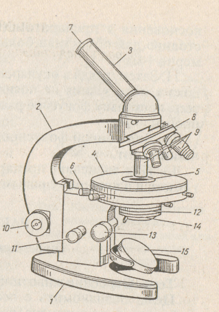 Строение микроскопа 5 класс рисунок