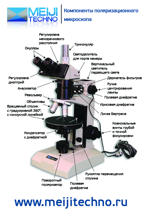 Микроскоп цифровой строение и описание 5 класс