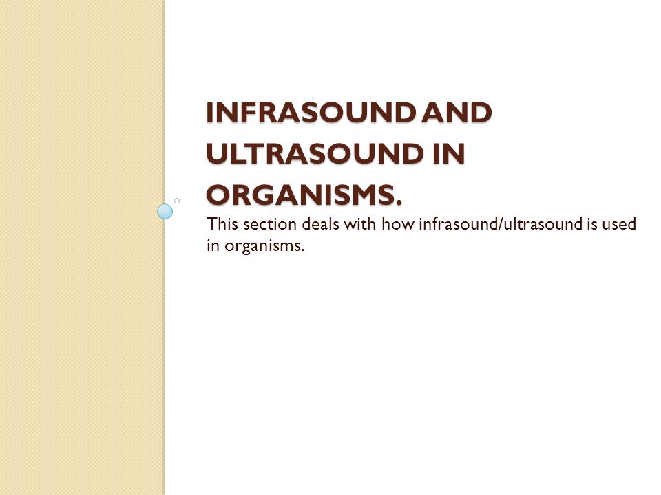 Infrasound and ultrasound in organisms.
