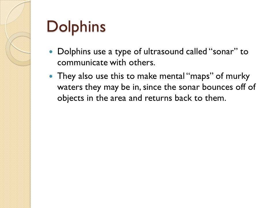 Dolphins Dolphins use a type of ultrasound called sonar to communicate with others.